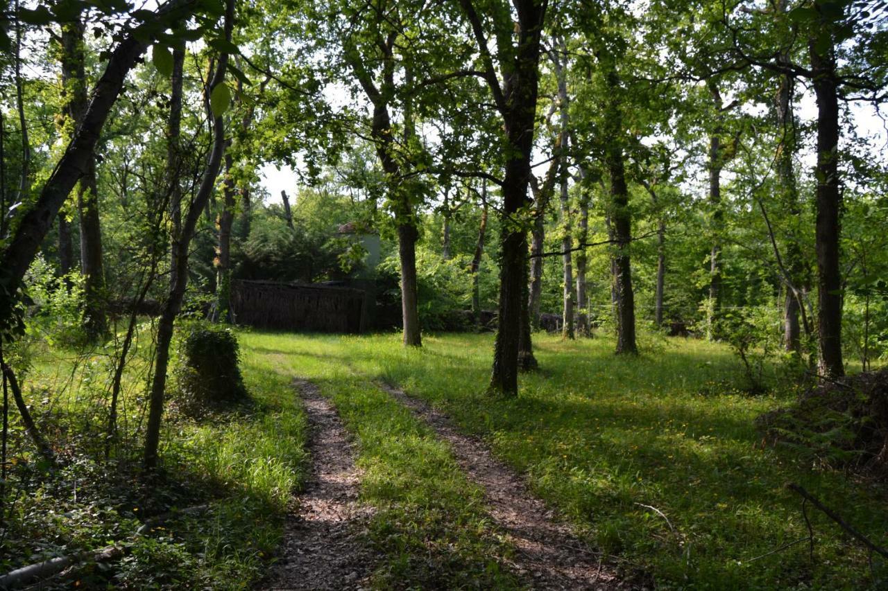 Ferme De Mouline Villa Sainte-Foy-la-Longue Dış mekan fotoğraf